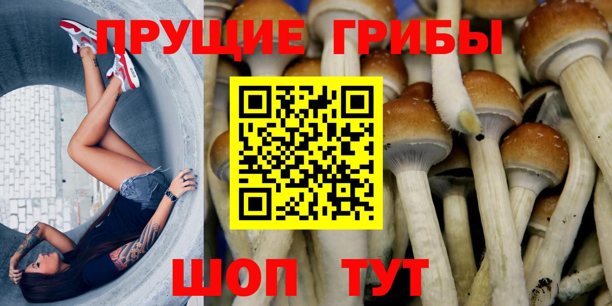 Галлюциногенные грибы мухоморы  Вход с VPN  Арзамас 